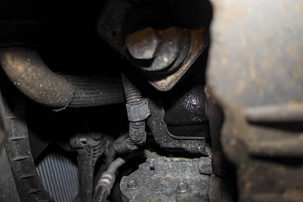 Sintomi del supporto della trasmissione errato e costi di sostituzione: una guida completa per i proprietari di auto