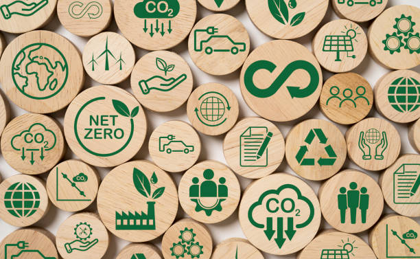 Materiali biodegradabili ed ecologici nella produzione di veicoli moderni